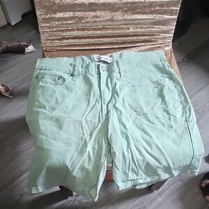 Amazon Green Flat Front Casual Shorts